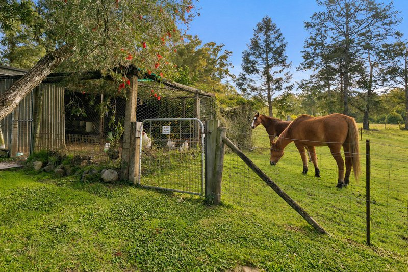 Photo - 294 Nowendoc Road, Killawarra NSW 2429 - Image 14