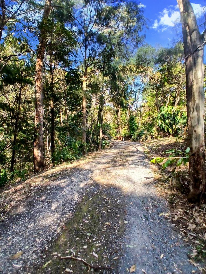 Photo - 2941 Nerang Murwillumbah Road, Natural Bridge QLD 4211 - Image 8