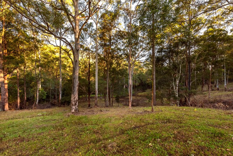 Photo - 2941 Nerang Murwillumbah Road, Natural Bridge QLD 4211 - Image 10