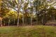 Photo - 2941 Nerang Murwillumbah Road, Natural Bridge QLD 4211 - Image 10