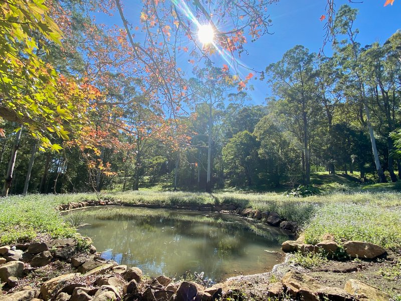 Photo - 2941 Nerang Murwillumbah Road, Natural Bridge QLD 4211 - Image 14