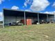 Photo - 2941 Roma - Taroom Road, Roma QLD 4455 - Image 8