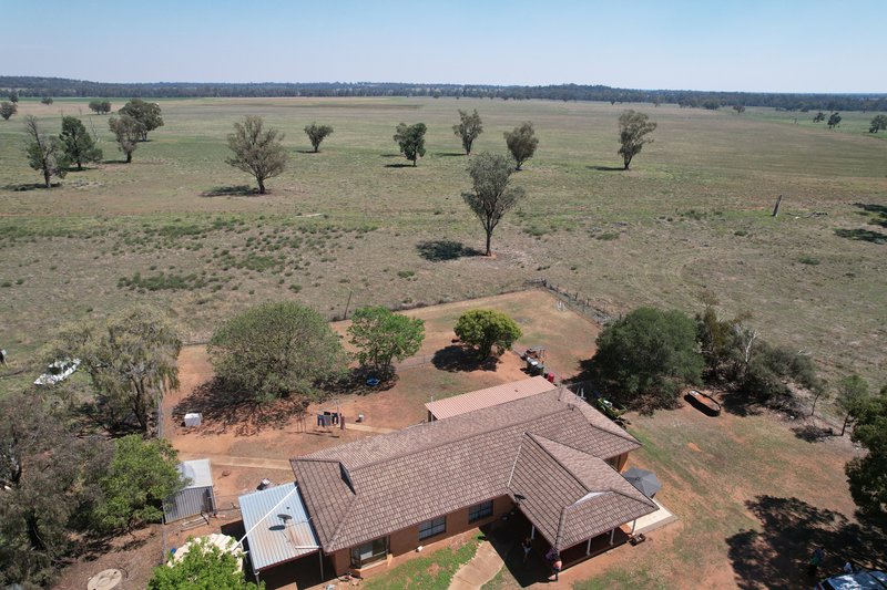 2952 Mitchell Highway, Narromine NSW 2821