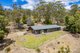 Photo - 296 Apollo Bay Road, Apollo Bay TAS 7150 - Image 3