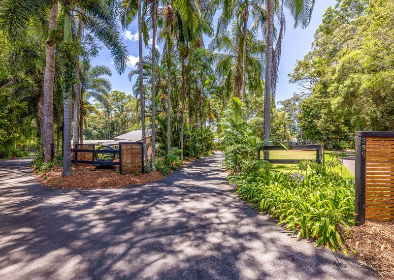 Photo - 296 Connection Road, Glenview QLD 4553 - Image 20