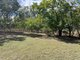 Photo - 296 Mount Dangar Road, Bowen QLD 4805 - Image 5