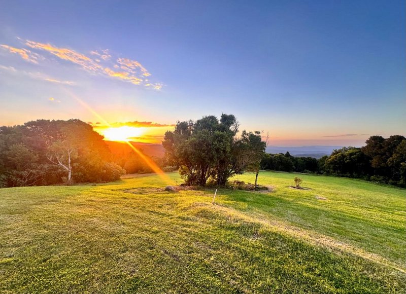 Photo - 2960B Springbrook Road, Springbrook QLD 4213 - Image 3