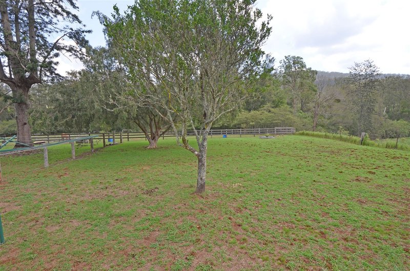 Photo - 2962 Pipeclay Road, Kindee NSW 2446 - Image 20