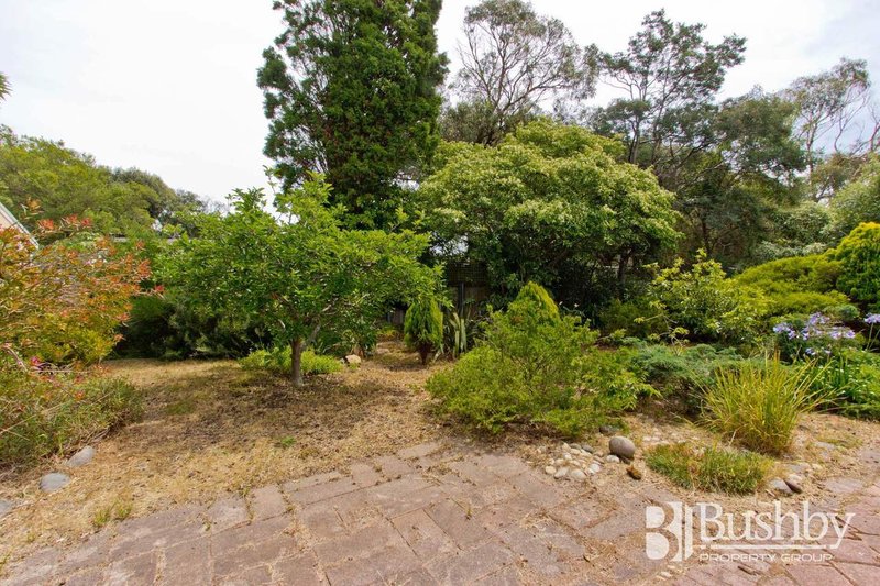 Photo - 297 Low Head Road, Low Head TAS 7253 - Image 18