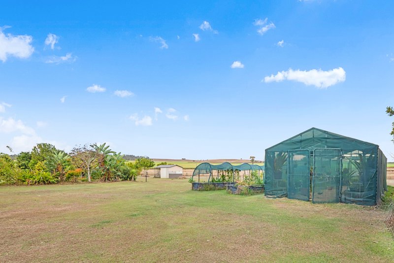 Photo - 297 Tirroan Road, Tirroan QLD 4671 - Image 32