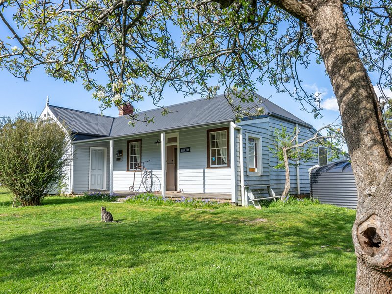 29766 Main Road, Weldborough TAS 7264