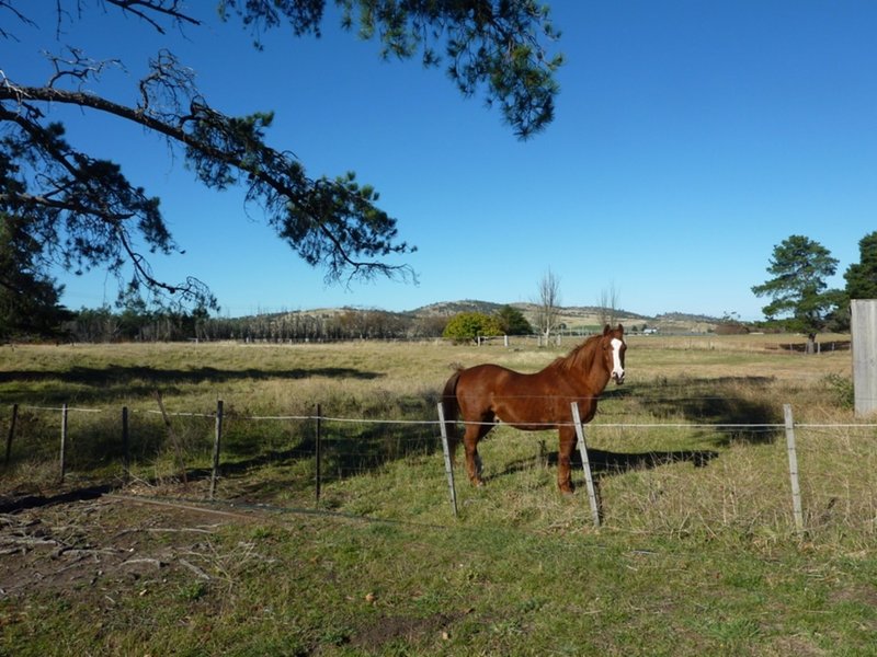 Photo - 2981 Tasman Highway, Orielton TAS 7172 - Image 4