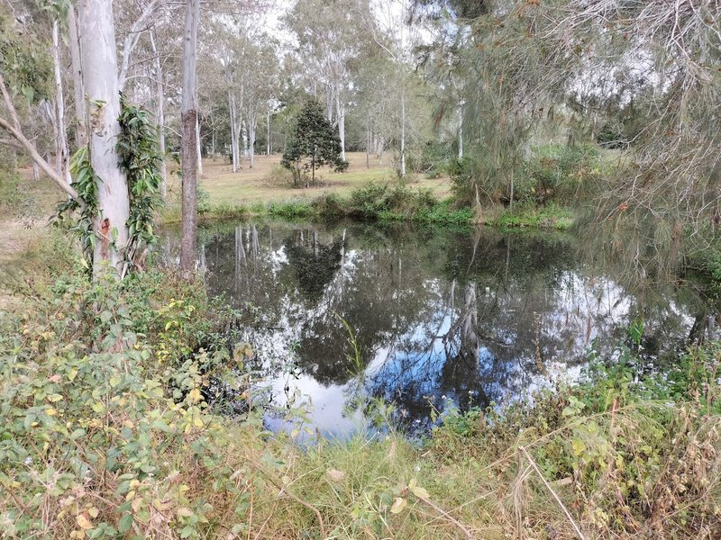 Photo - 299 Begley Road, Greenbank QLD 4124 - Image 10