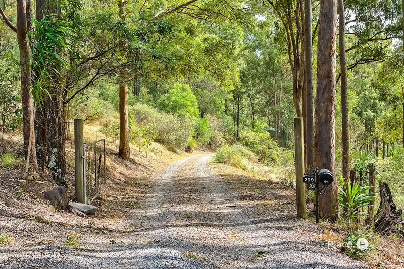 Photo - 299 Lochinvar Road, Upper Kedron QLD 4055 - Image 5