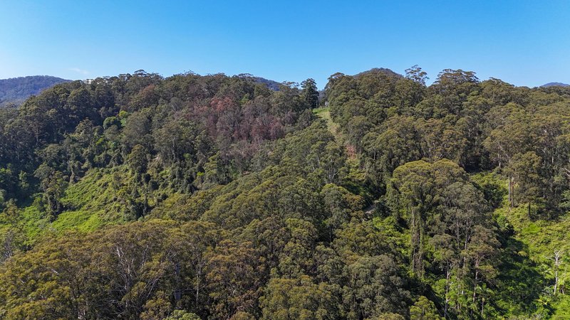 Photo - 299 South Island Loop Road, Upper Orara NSW 2450 - Image 2