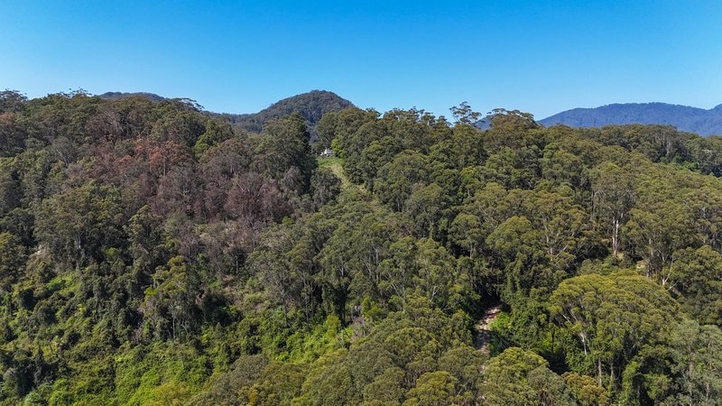 Photo - 299 South Island Loop Road, Upper Orara NSW 2450 - Image 3