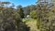 Photo - 299 South Island Loop Road, Upper Orara NSW 2450 - Image 5