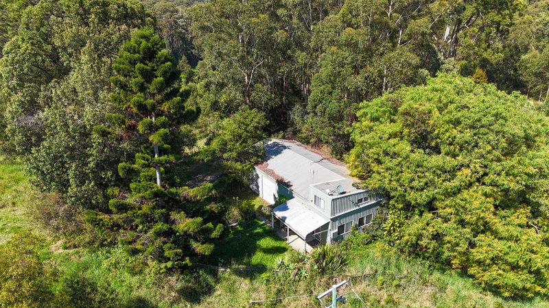 Photo - 299 South Island Loop Road, Upper Orara NSW 2450 - Image 8