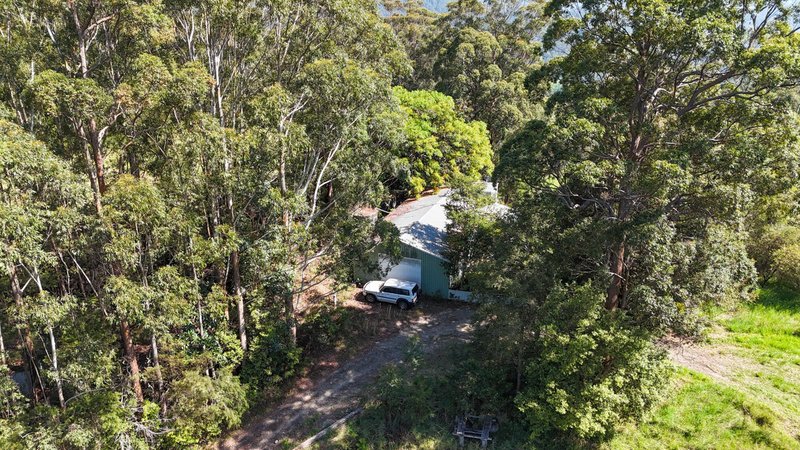 Photo - 299 South Island Loop Road, Upper Orara NSW 2450 - Image 9