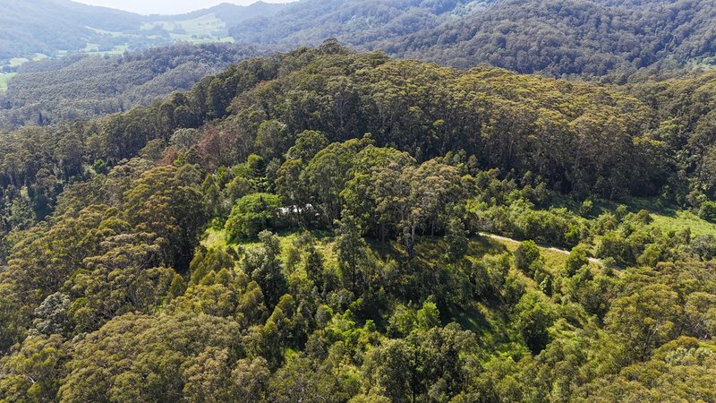 Photo - 299 South Island Loop Road, Upper Orara NSW 2450 - Image 10