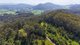 Photo - 299 South Island Loop Road, Upper Orara NSW 2450 - Image 11