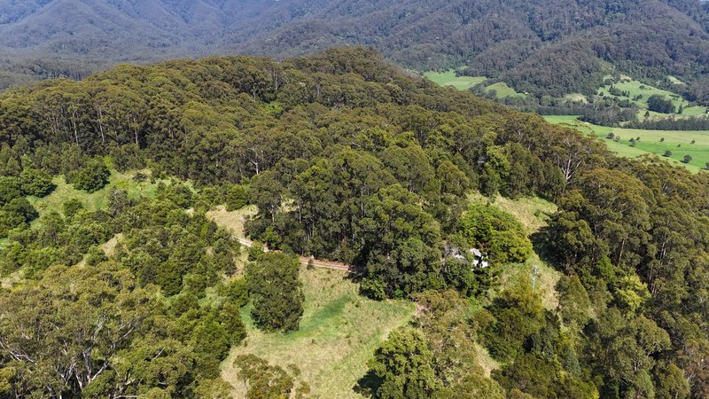 Photo - 299 South Island Loop Road, Upper Orara NSW 2450 - Image 13