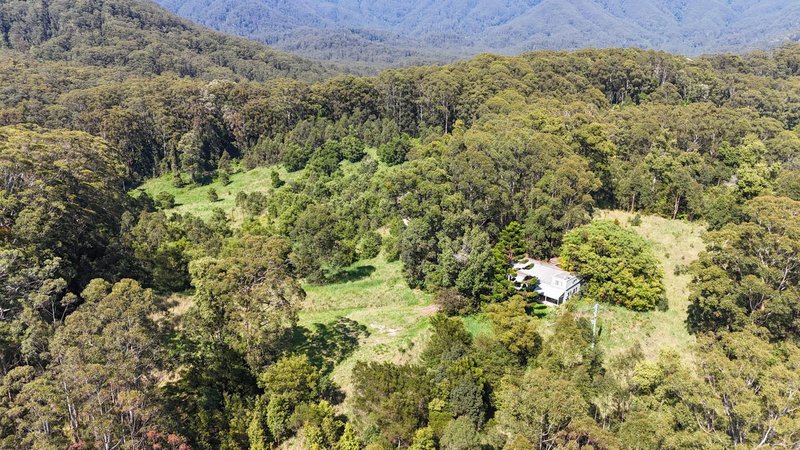 Photo - 299 South Island Loop Road, Upper Orara NSW 2450 - Image 14