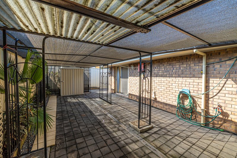 Photo - 2A Clansman Avenue, Windsor Gardens SA 5087 - Image 16