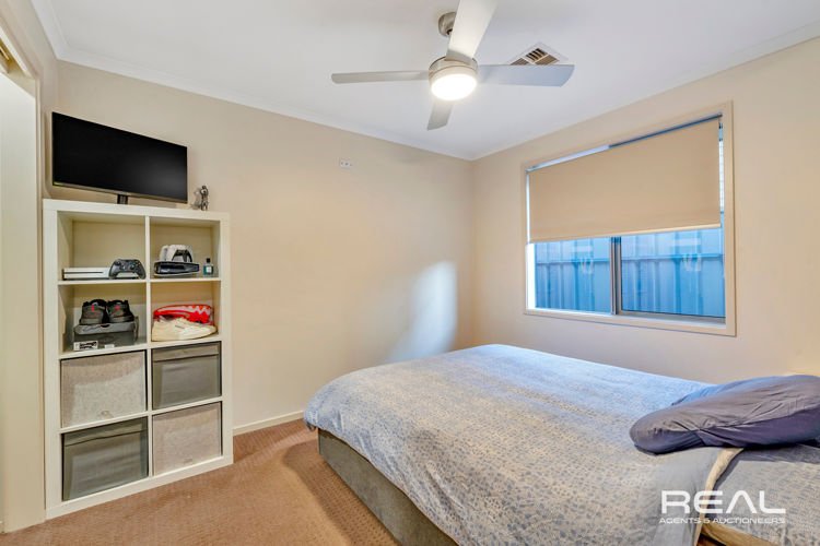 Photo - 2A Musgrave Avenue, Banksia Park SA 5091 - Image 10