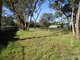 Photo - 2A Myrtle Road, Hawthorndene SA 5051 - Image 7