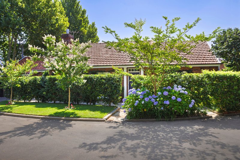 Photo - 2b Milroy Avenue, Kensington NSW 2033 - Image 11