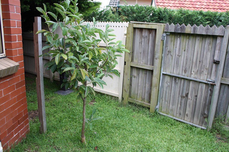 Photo - 2B Myrtle Street, Kensington NSW 2033 - Image 5