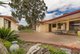 Photo - 2b Wilcox Avenue, Morphettville SA 5043 - Image 17