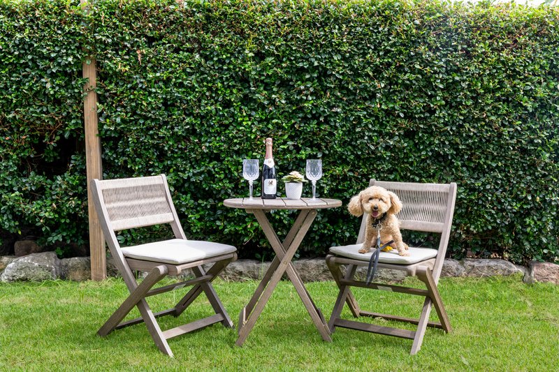 Photo - 2C Kitchener Avenue, Earlwood NSW 2206 - Image 6