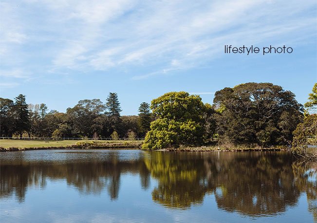 Photo - 2C Queens Park Road, Queens Park NSW 2022 - Image 9