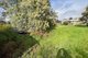 Photo - 3-5 Park Terrace, Pinnaroo SA 5304 - Image 10