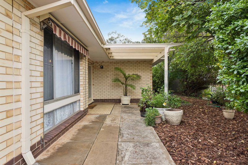 Photo - 3 Anona Way, Fairview Park SA 5126 - Image 4