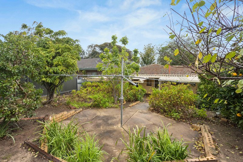 Photo - 3 Anona Way, Fairview Park SA 5126 - Image 22