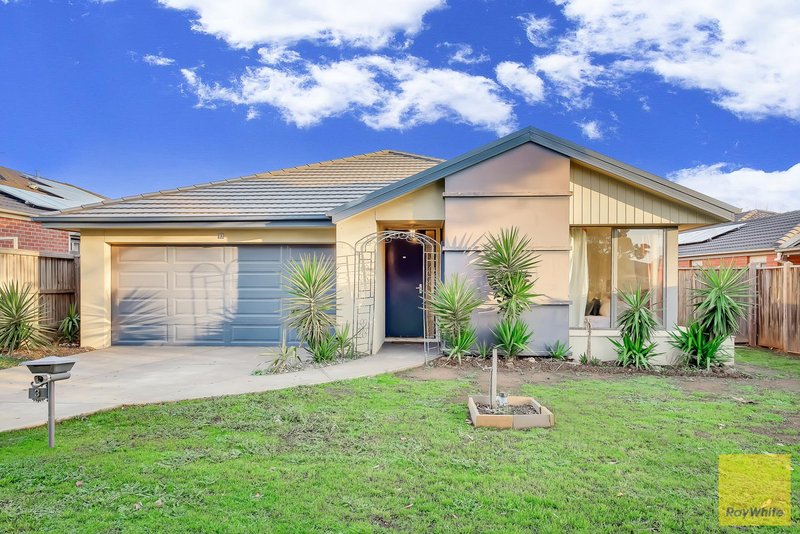 Photo - 3 Argus Court, Tarneit VIC 3029 - Image 5