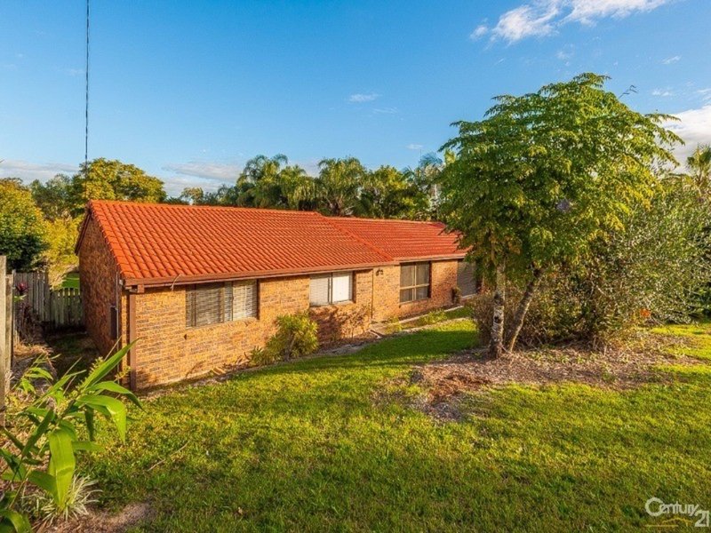 Photo - 3 Armour Place, Bli Bli QLD 4560 - Image 4