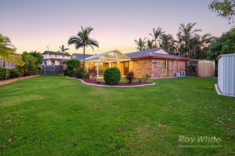 3 Arpege Crescent, Eight Mile Plains QLD 4113