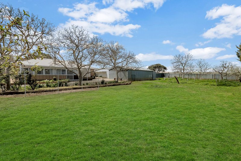 3 Auguste Street, Nuriootpa SA 5355