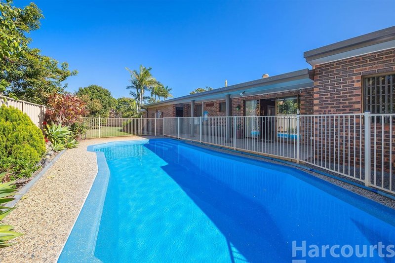 Photo - 3 Azalea Dr , Bongaree QLD 4507 - Image 16