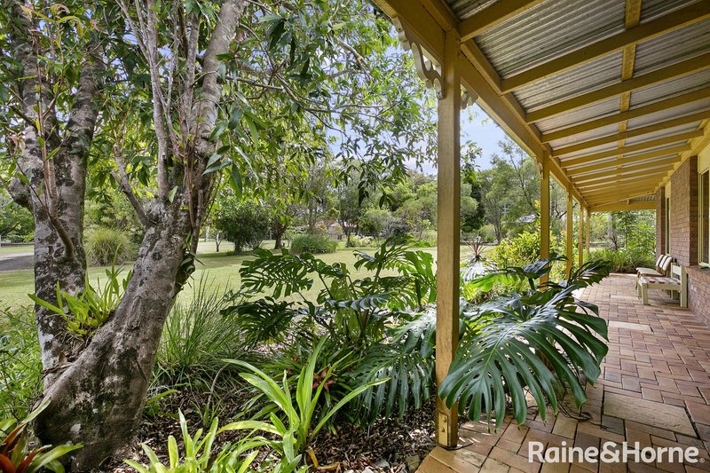 Photo - 3 Bangalow Court, Cooroy QLD 4563 - Image 12