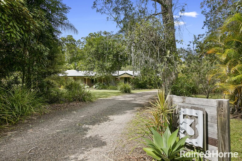 Photo - 3 Bangalow Court, Cooroy QLD 4563 - Image 14