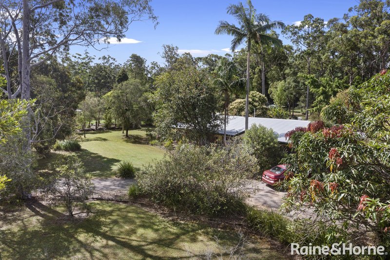 Photo - 3 Bangalow Court, Cooroy QLD 4563 - Image 17