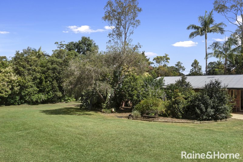 Photo - 3 Bangalow Court, Cooroy QLD 4563 - Image 19