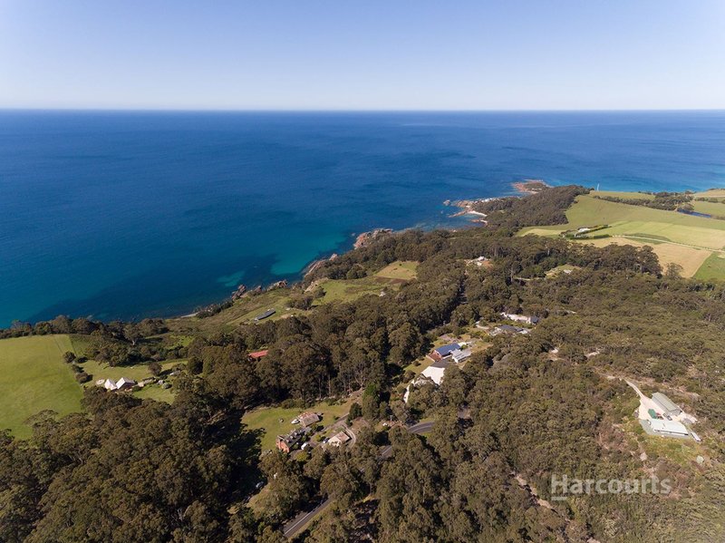 Photo - 3 Banksia Park Road, Boat Harbour TAS 7321 - Image 18