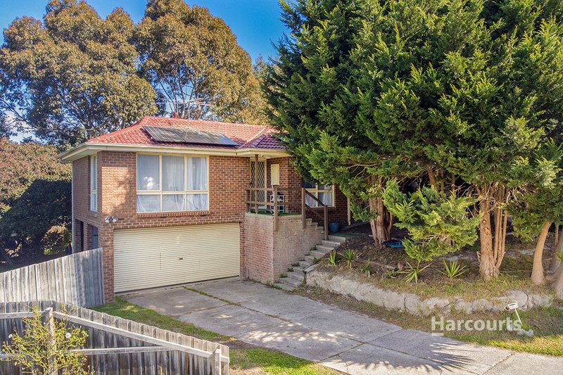 3 Bass Place, Endeavour Hills VIC 3802