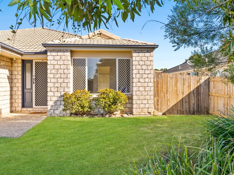 Photo - 3 Begonia Street, Ormeau QLD 4208 - Image 24